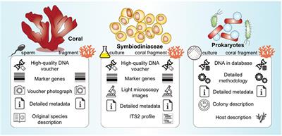 Consensus Guidelines for Advancing Coral Holobiont Genome and Specimen Voucher Deposition